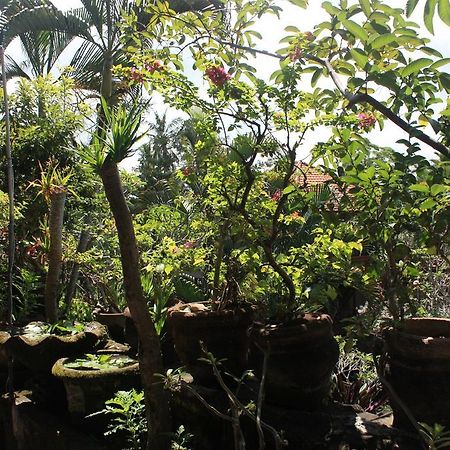Raditia Homestay 우붓 외부 사진