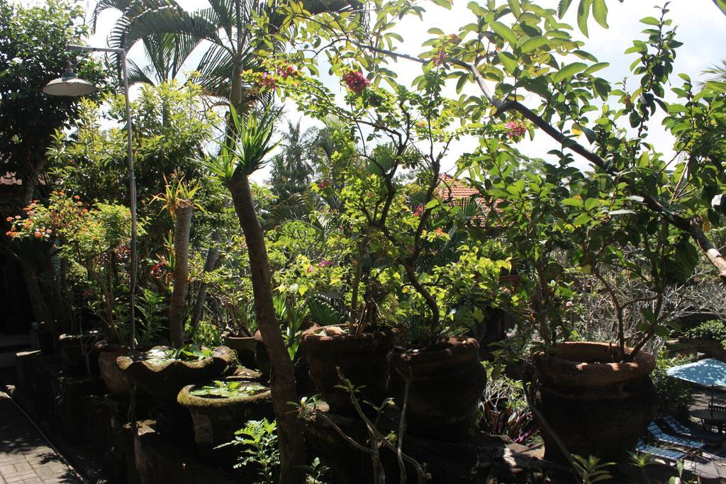 Raditia Homestay 우붓 외부 사진